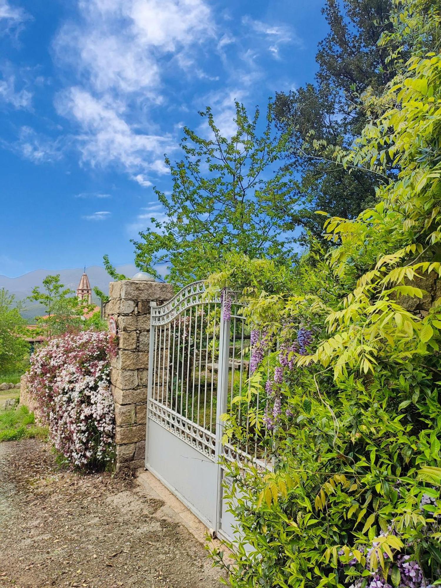 Résidence A CASA VECCHIA gites de charme avec JACUZZI proche Ajaccio Peri Exterior foto