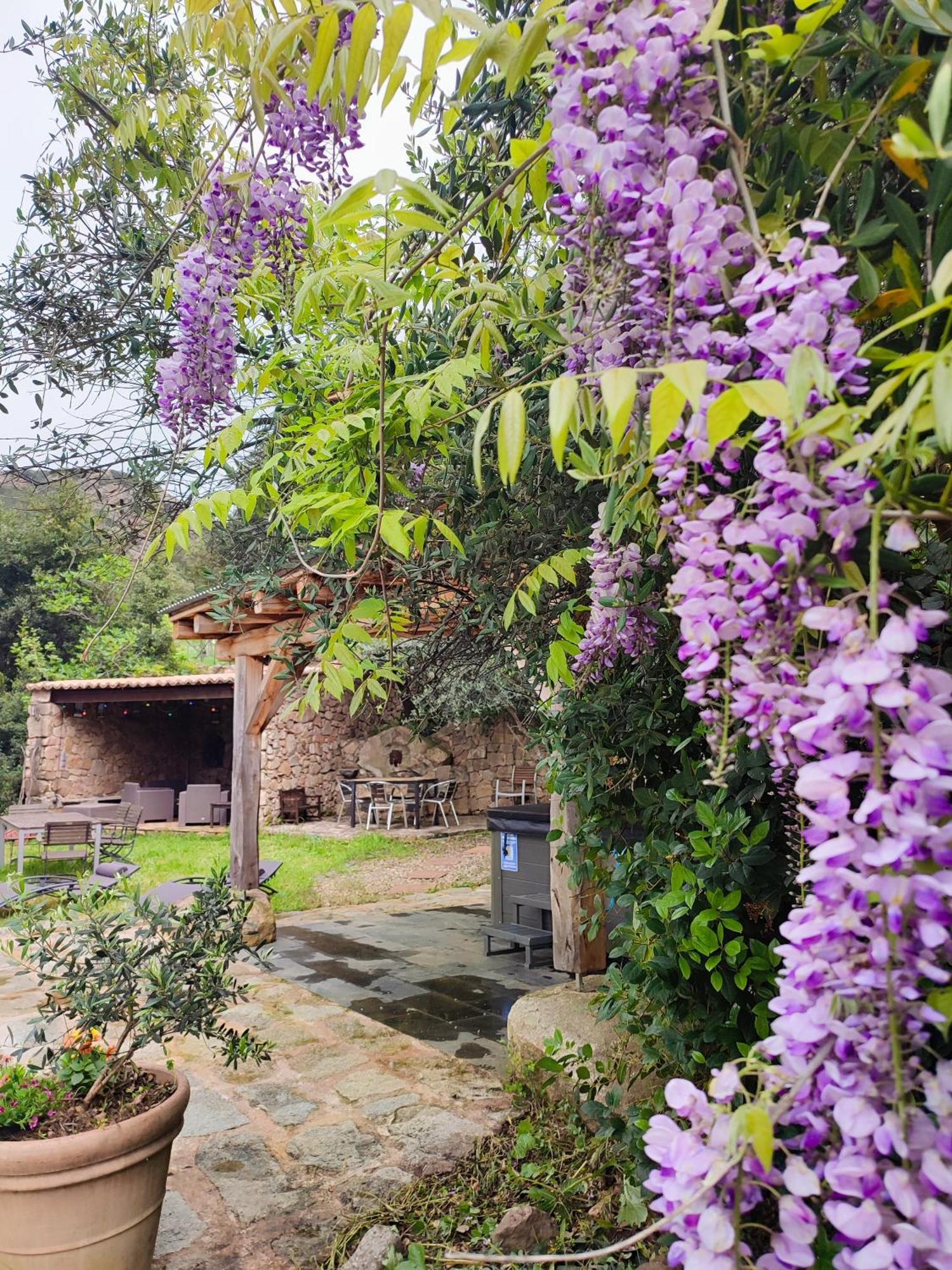 Résidence A CASA VECCHIA gites de charme avec JACUZZI proche Ajaccio Peri Exterior foto